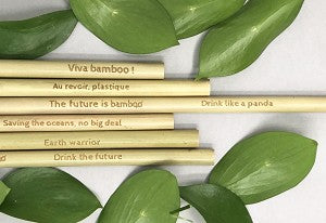 The future is bamboo- bamboo straws with cleaning brush