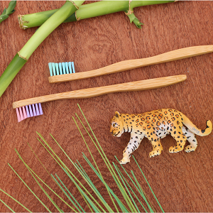 Kids Bamboo Toothbrush